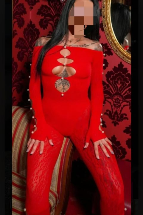 WhatsApp Image 2026-02-20 at 22.28.515